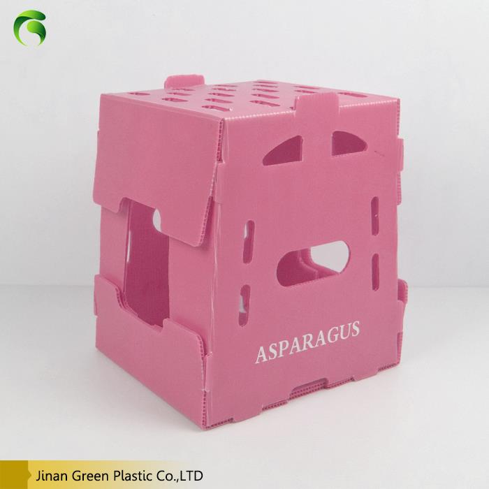 Polypropylene Corrugated Box factory