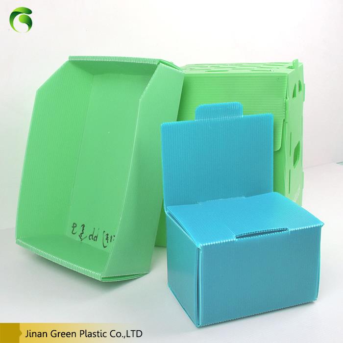 Polypropylene Corrugated Box